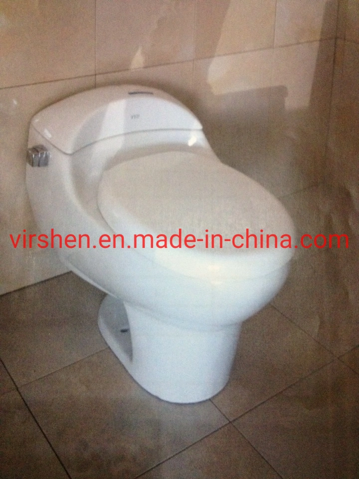 Washdown Bathroom Bowl Dual-Flush Floor Mounted One Piece Wc Toilet